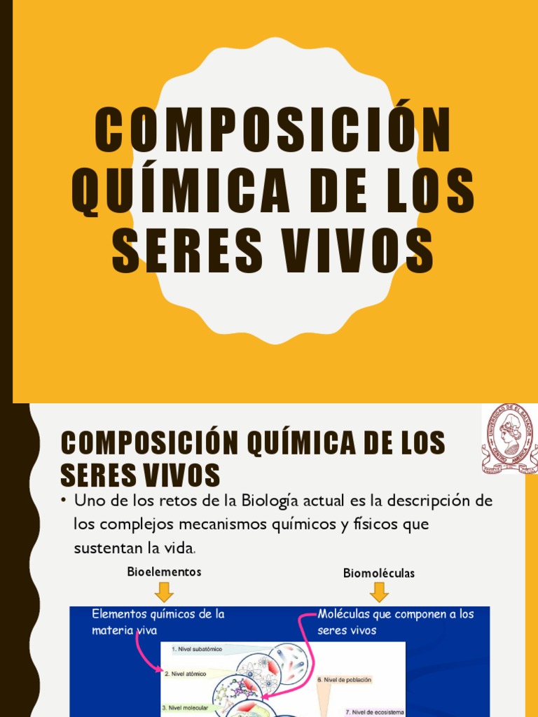 Composicion Quimica de La Materia en Los Seres Vivos | PDF | Organismos ...