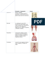 Componentes de Los Sistemas Corporales - KV