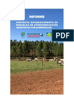 3.2. Informe de Reforestacion PINDO