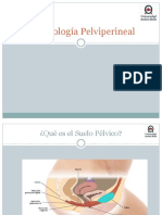 Kinesiologia Pelviperineal