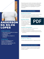 Anderson Da Silva Lopes: Resumo Profissional