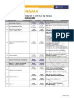 Cronograma - Análisis de Coyuntura y Curso de Tesis