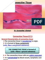 Connective Tissue: Dr. Asmaaabd Elfattah