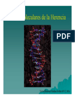 Bases Moleculares de la Herencia