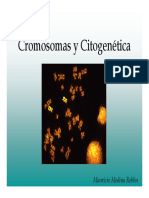 Citogenética y Cromosomas