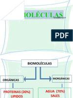 Biomoleculas 2