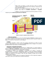 Sistema Oseo03