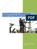 Electricity in Cameroon: What Is The Way Forward?: Edith Ndjeng Ossono