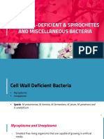 Cell Wall-Deficient & Spirochetes and Miscellaneous Bacteria
