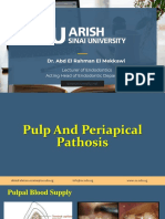 03 Pulp Pathosis I