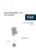 BIO202 05 06 Gene Reg Operon