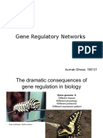 BIO202 07 Gene Regulation Networks