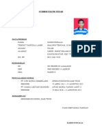 Curriculum Vitae