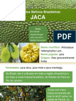 Alimentos Nativos Brasileiros - JACA