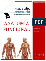 Anatomía Funcional Therapeutic Venezuela