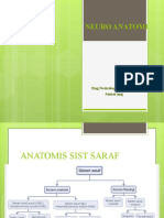 Neuro Anatomi2