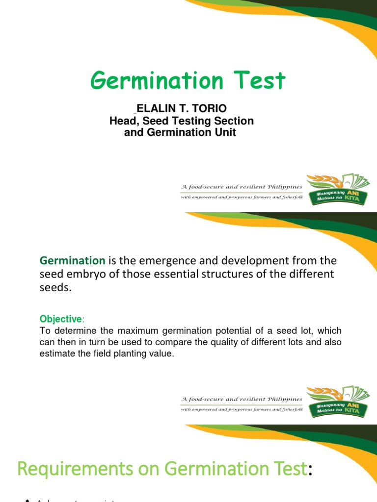 Germination Test PDF Seed Germination