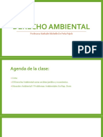 Tercera Clase de Derecho Ambiental