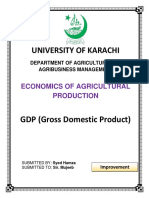 Syed Hamza (Economics of Agricultural Production) GDP