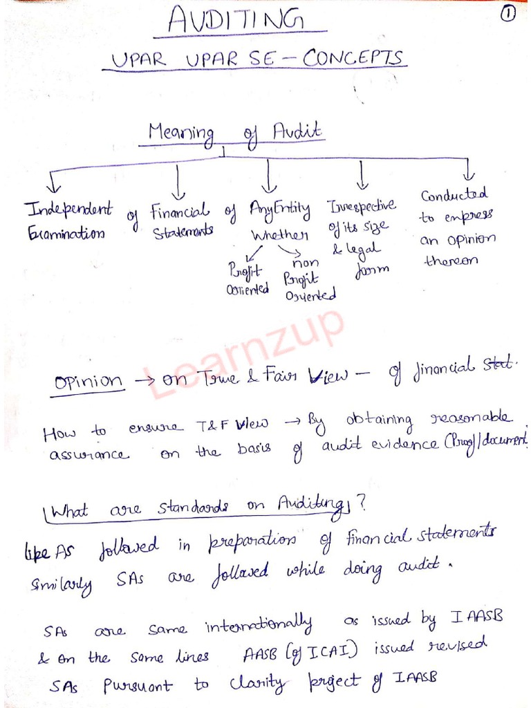Ca Inter Audit Handwritten Notes Part I Pdf
