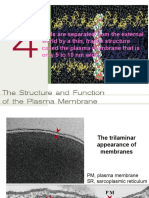 Chapter 4-Jnu Biomembranes-1 - 複本