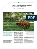 Integrating Forestry Sustainable Cattle Ranching Calle Et Al 2012