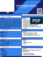 Modern Profesional Resume