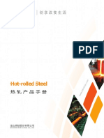 Baosteel - Hot Rolled Steel