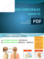 Cavidades Corporales Parte II