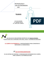 Tejidos - Morfofisiologia 1
