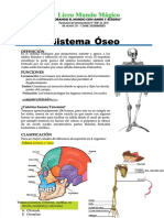 PDF Sistema Oseo para Nios para Cuarto de Primaria Compress