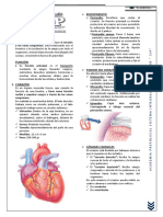 Sistema cardiovascular SIP