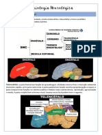 Semiologia Neurológica