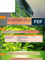 Fotosintesis Video Fix