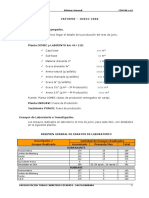 6-Informe Junio 06