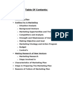Marketing Plan Outline and Research Steps