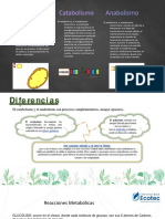 METABOLISMO