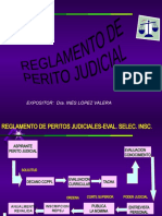 Reglamento de Perito Judicial