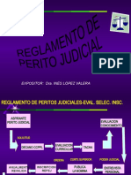 REGLAMENTO DE PERITO JUDICIAL