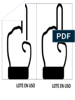 Lote en Uso - Mano