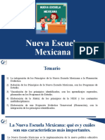 Nueva Escuela Mexicana02 en
