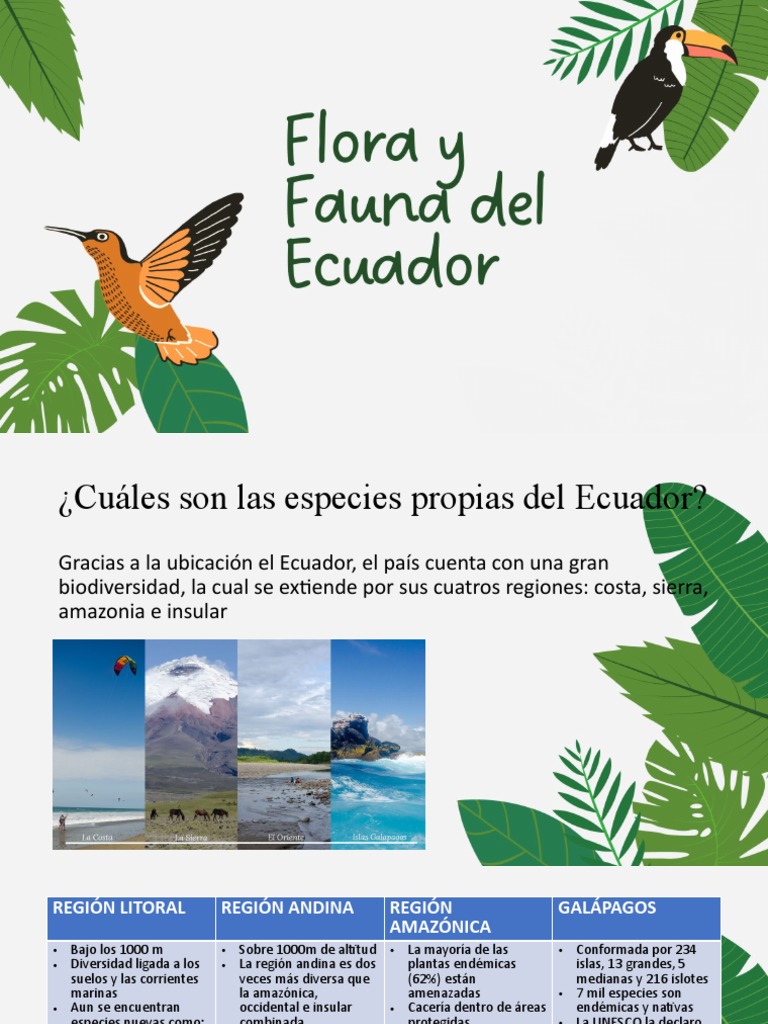Especies Endémicas y Biodiversidad en Ecuador | PDF | Ecuador | Biología