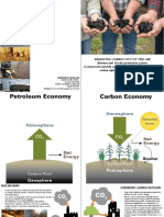 Removing Carbon Out of The Air by BioenergyCrops - Compressed