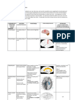 Assignment - Neuro Notes #4 - Internal Anatomy - Part 1 - Table