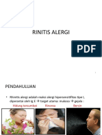 Rhinitis Alergi