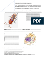 Tarea Clase 24 06 Modelos Celulares