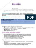 Aparato respiratorio: estructura, función y desarrollo