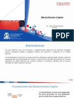 Presentación Electroforesis Capilar 2