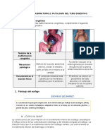 Lab2 - Patología Del Tubo Digestivo