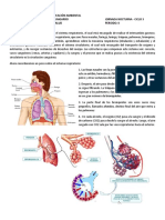 Guia Ciclo 3 Efectos Del Tabaco en La Salud